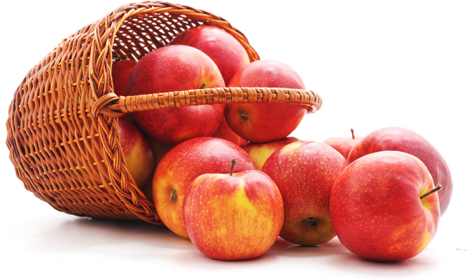 Tipped over basket of apples