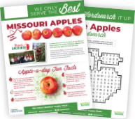 activity sheet pdf picture